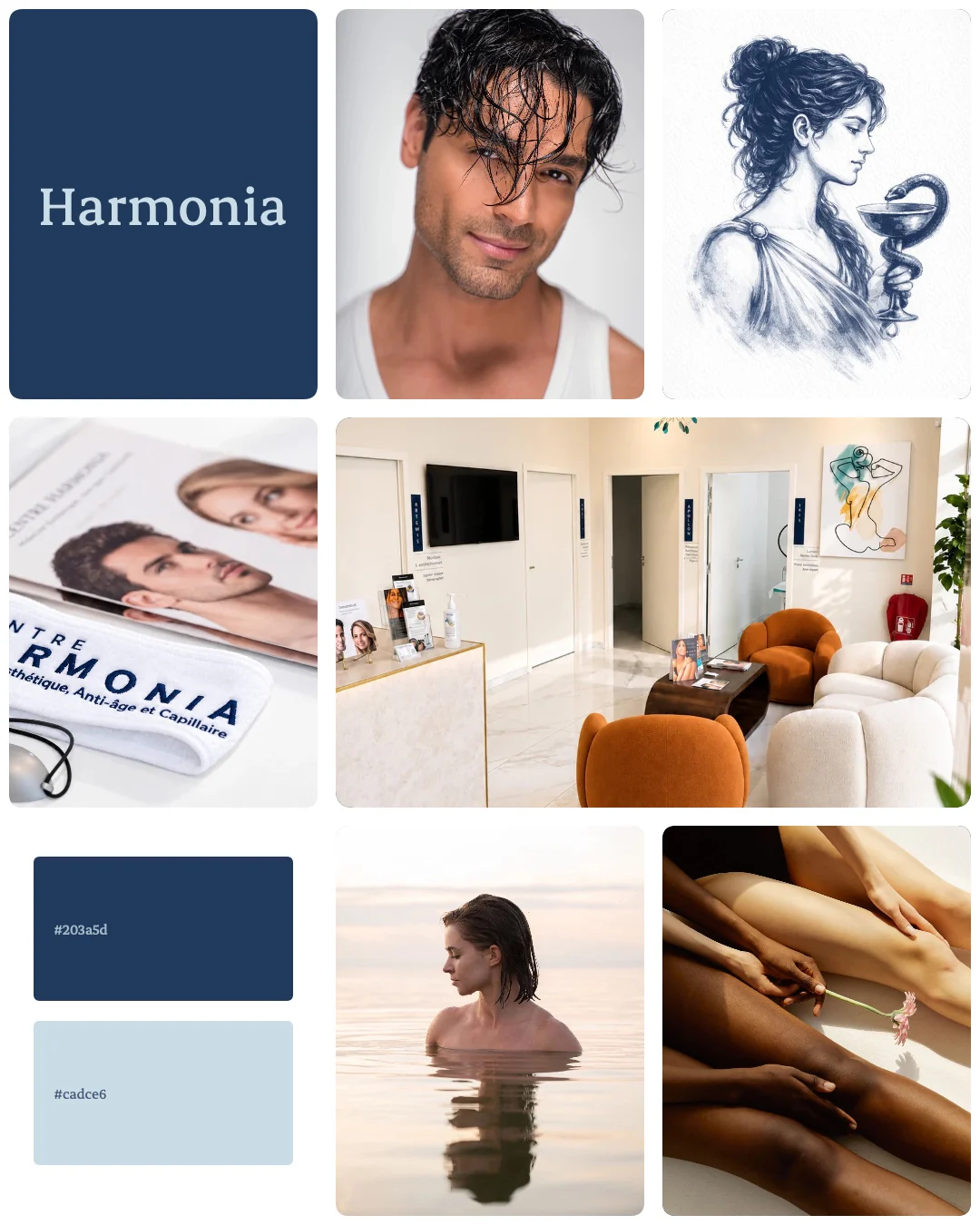 Planche d'identité du Centre Harmonia : palette, logotype, lieu