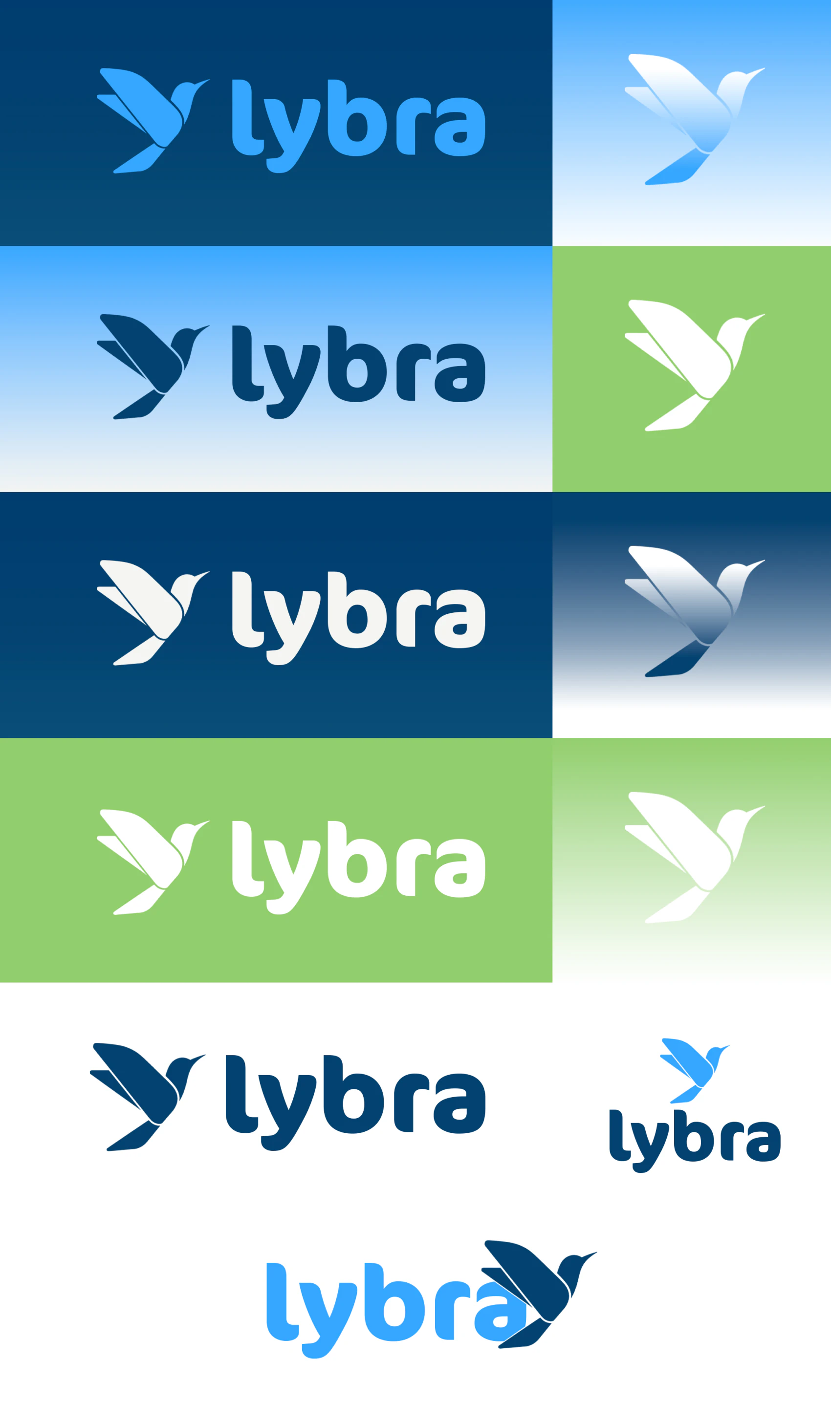 Planche des déclinaisons du logo Lybra